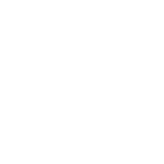 Zinc Vitamin Icon - Drive Wellness